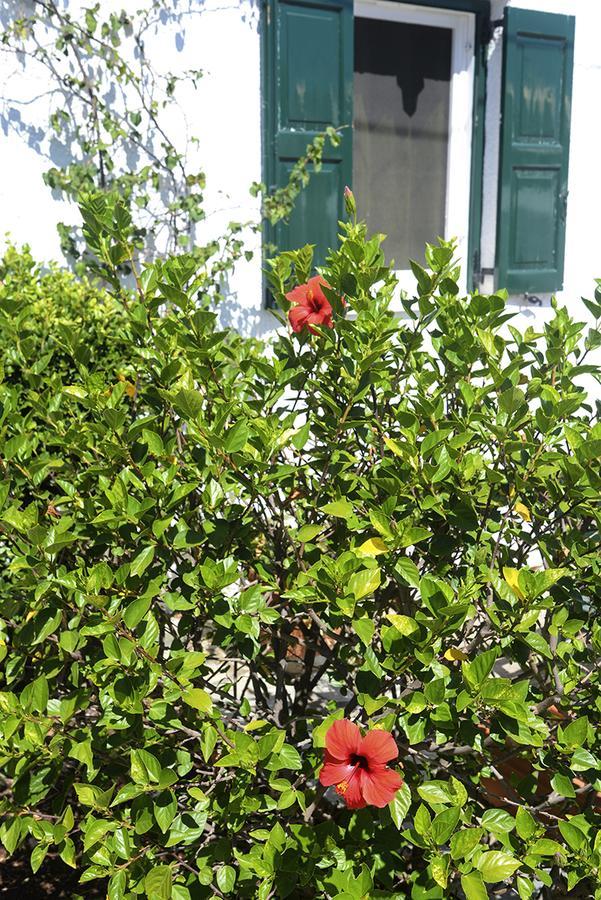 Villa Anesis Spetses Town Exterior photo